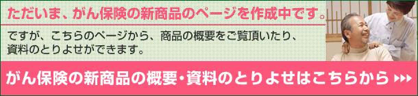 ����ی��̐V���i�̊T�v�E�����̂Ƃ�悹�͂����炩��